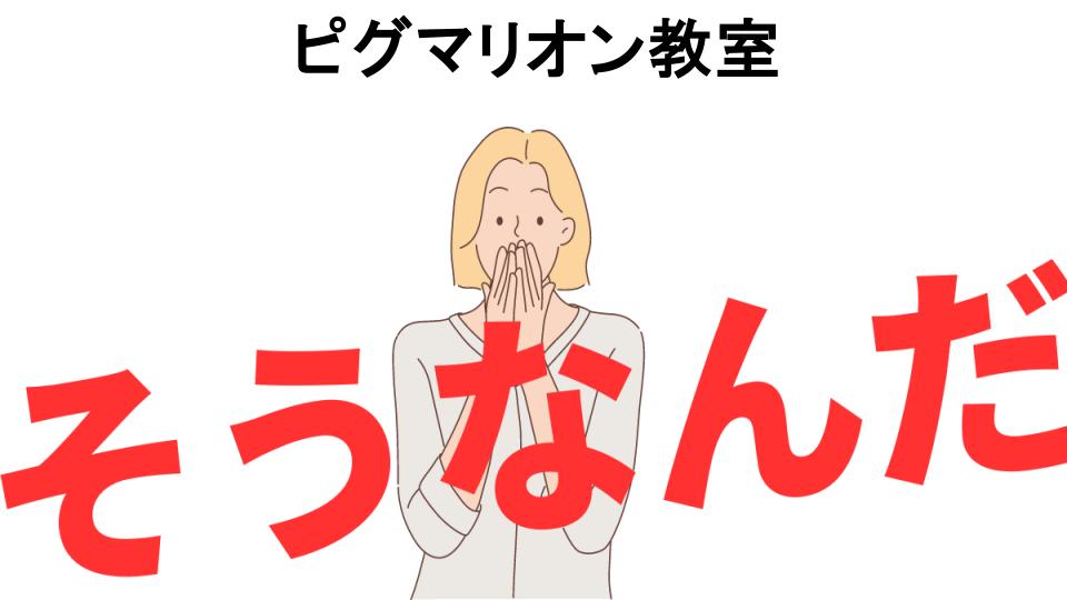 意味ないと思う人におすすめ！ピグマリオン教室の代わり